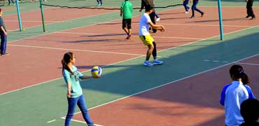 网站攻击软件工具